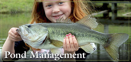 Recreational Pond Management - Course Full